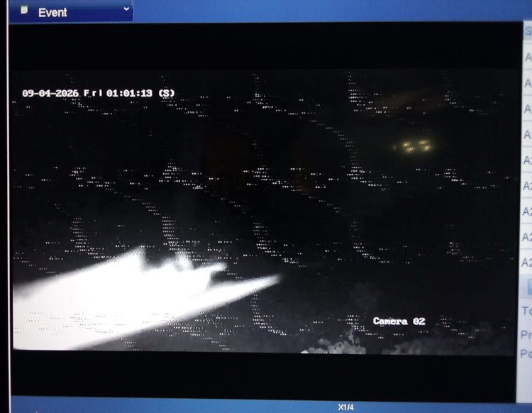 IR surveillance camera frame of moth flying too close to camera