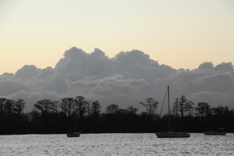 solid bank of clouds over trees and sailboats along waterfront at dusk